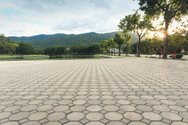 Best Local Driveway Pavers  in Bliss Corner, MA